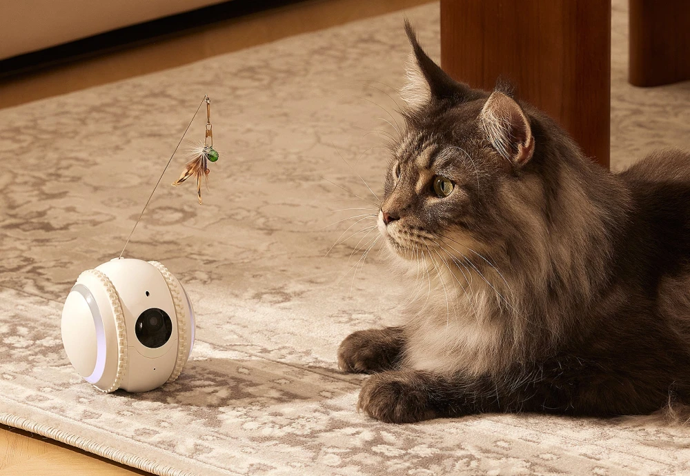 wireless pet camera