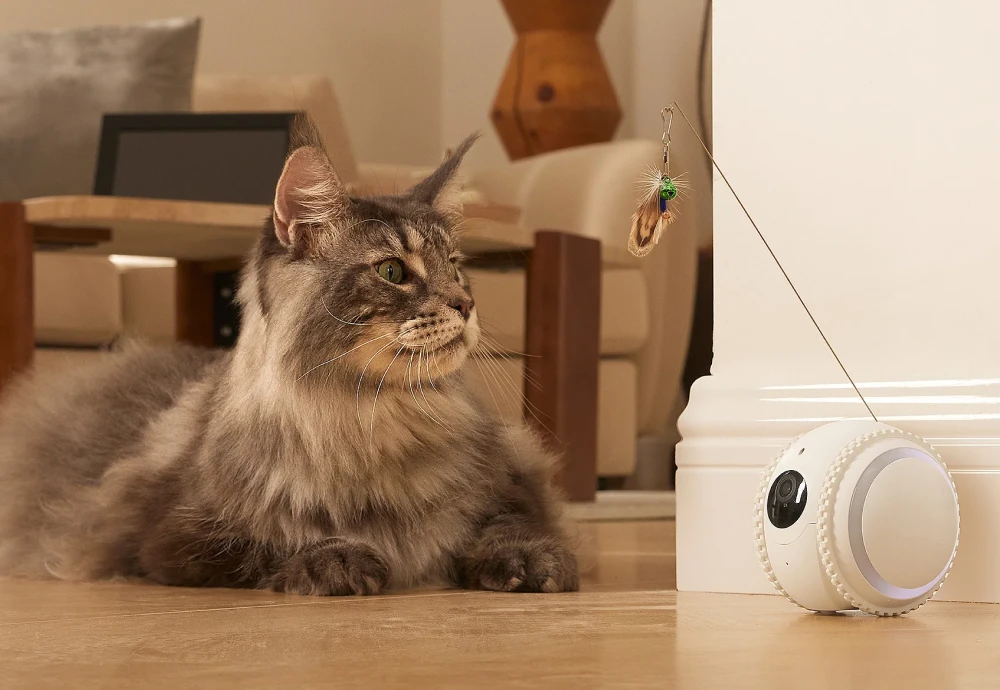 wireless pet monitoring camera