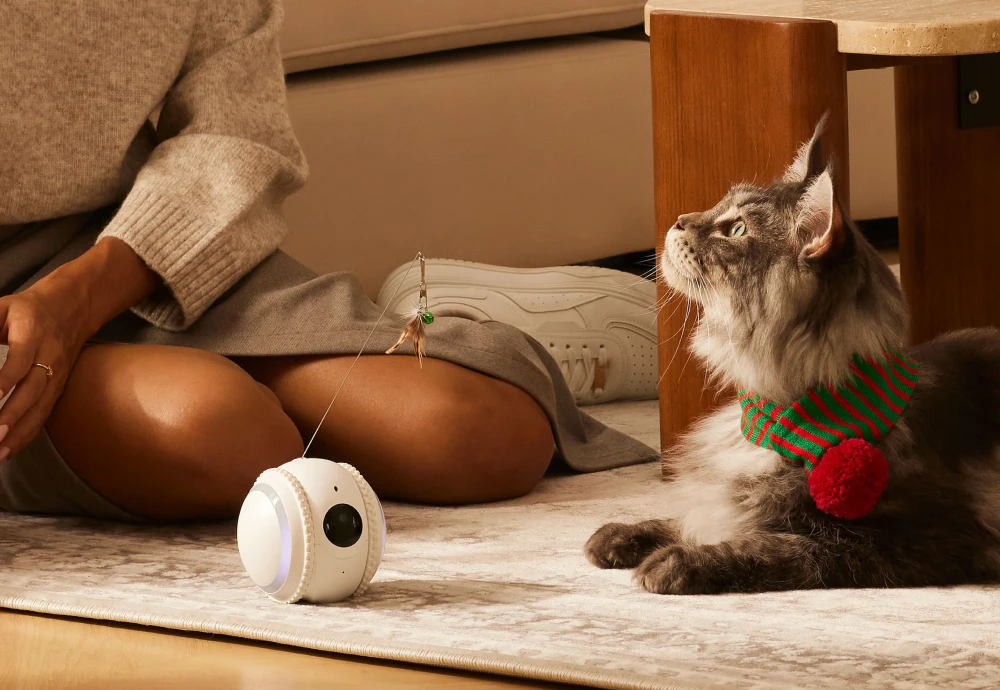 moving pet camera