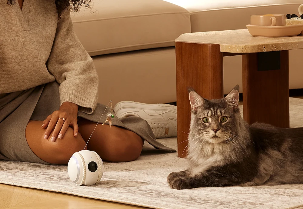 best camera for pets at home