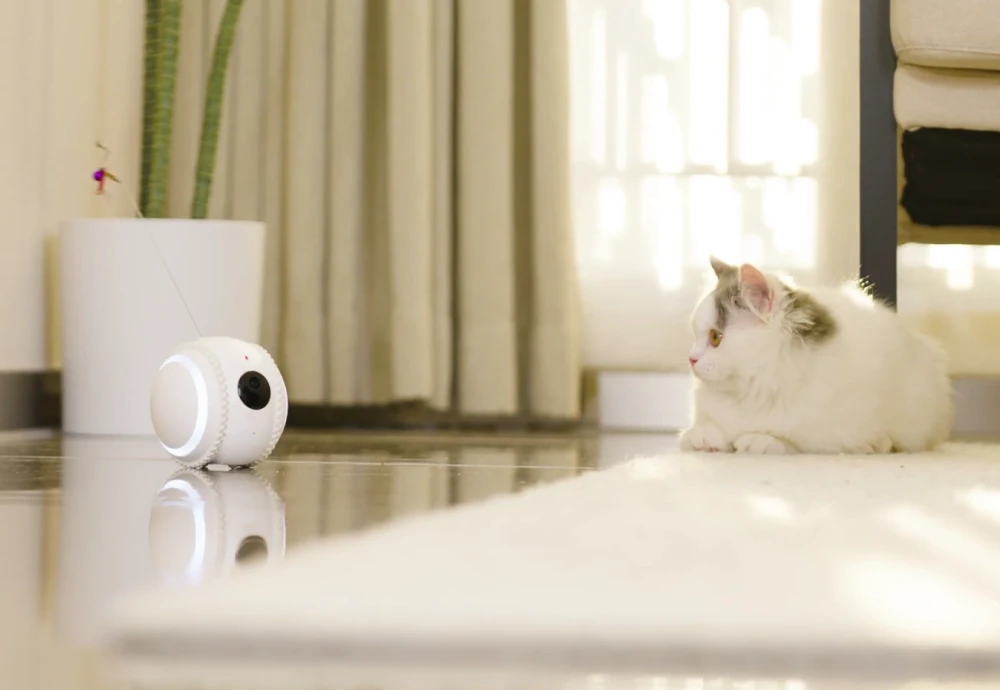 moving pet camera