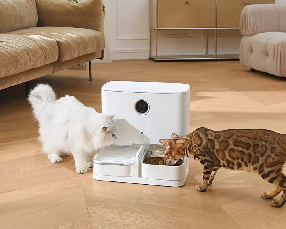 smart pet feeder with camera