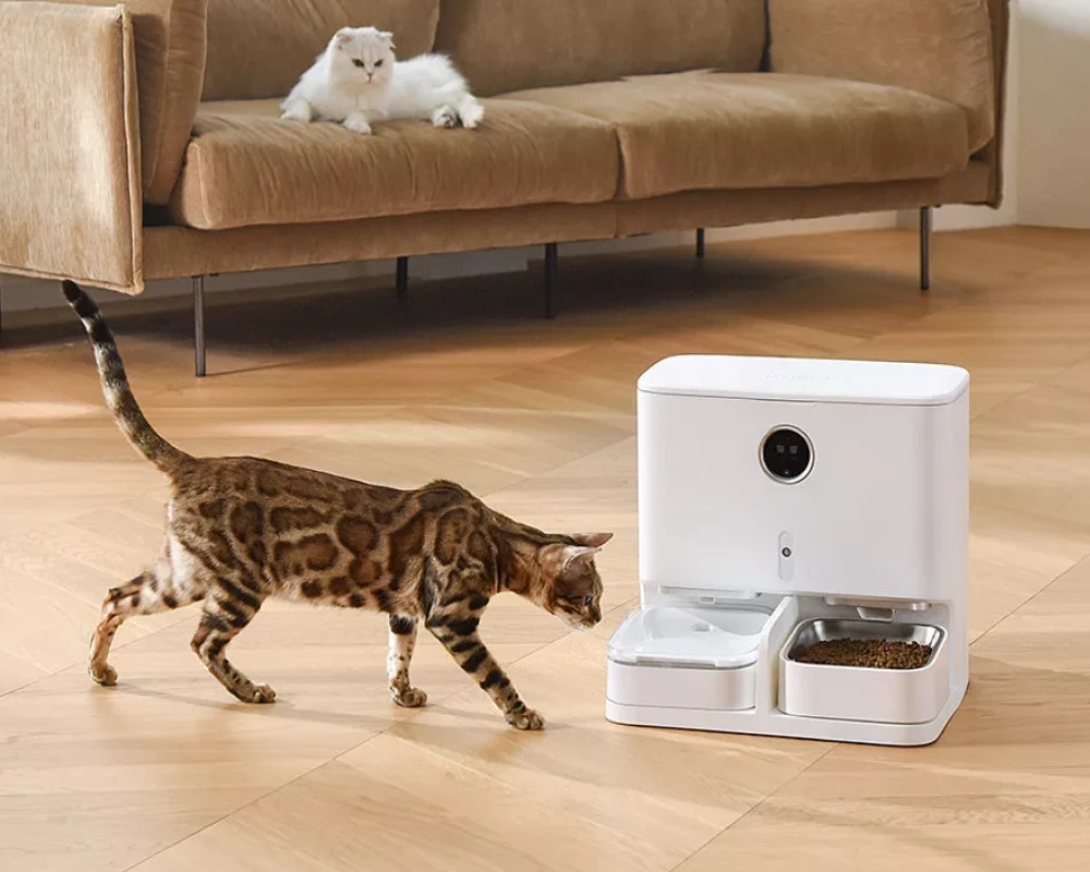 pet automatic feeder dispenser