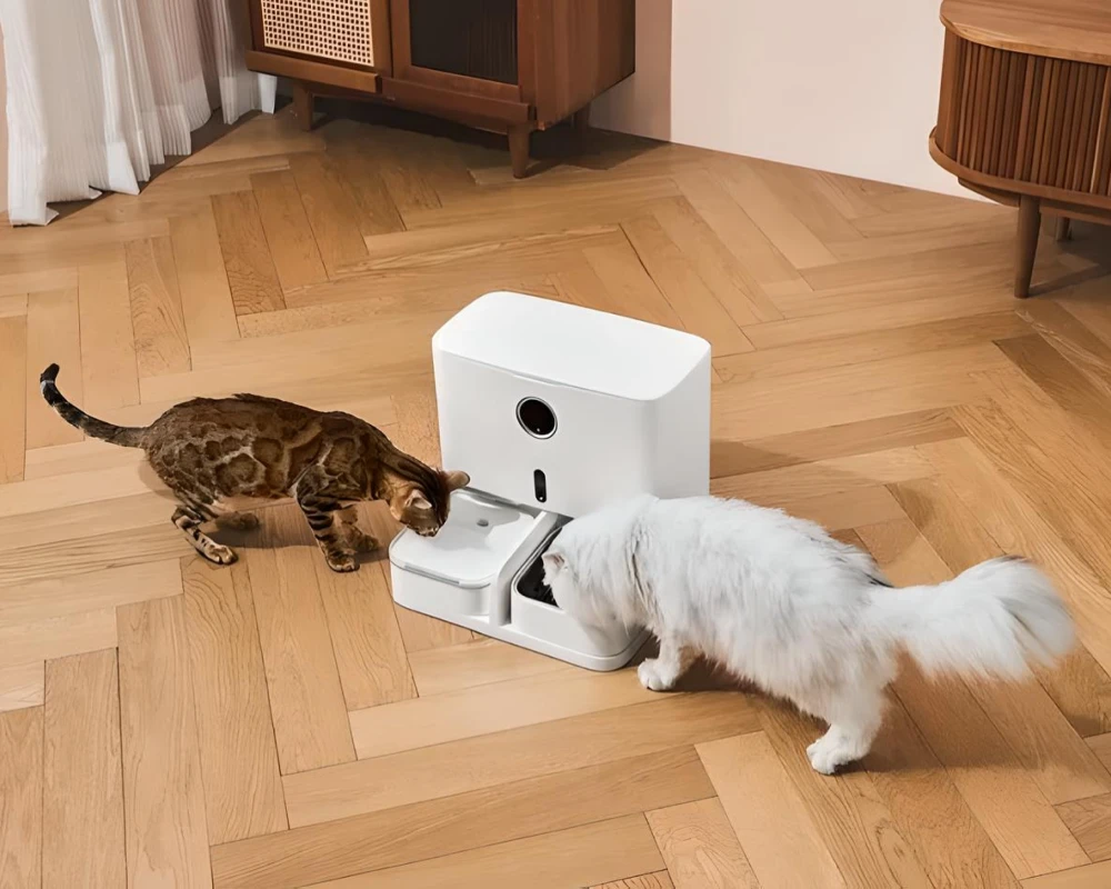 pet smart automatic pet feeder