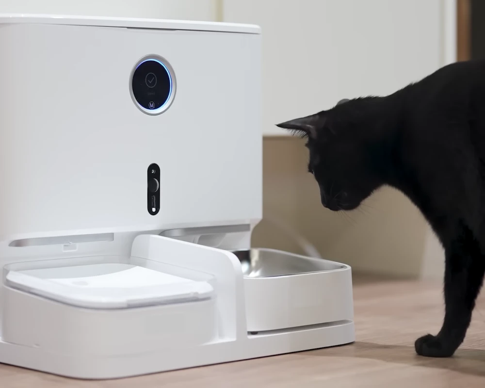 automatic dog feeder station