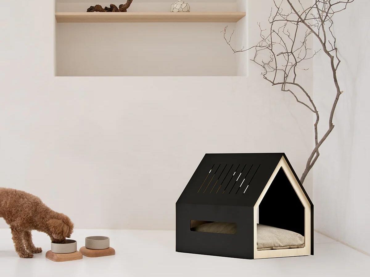 Modern Pet House