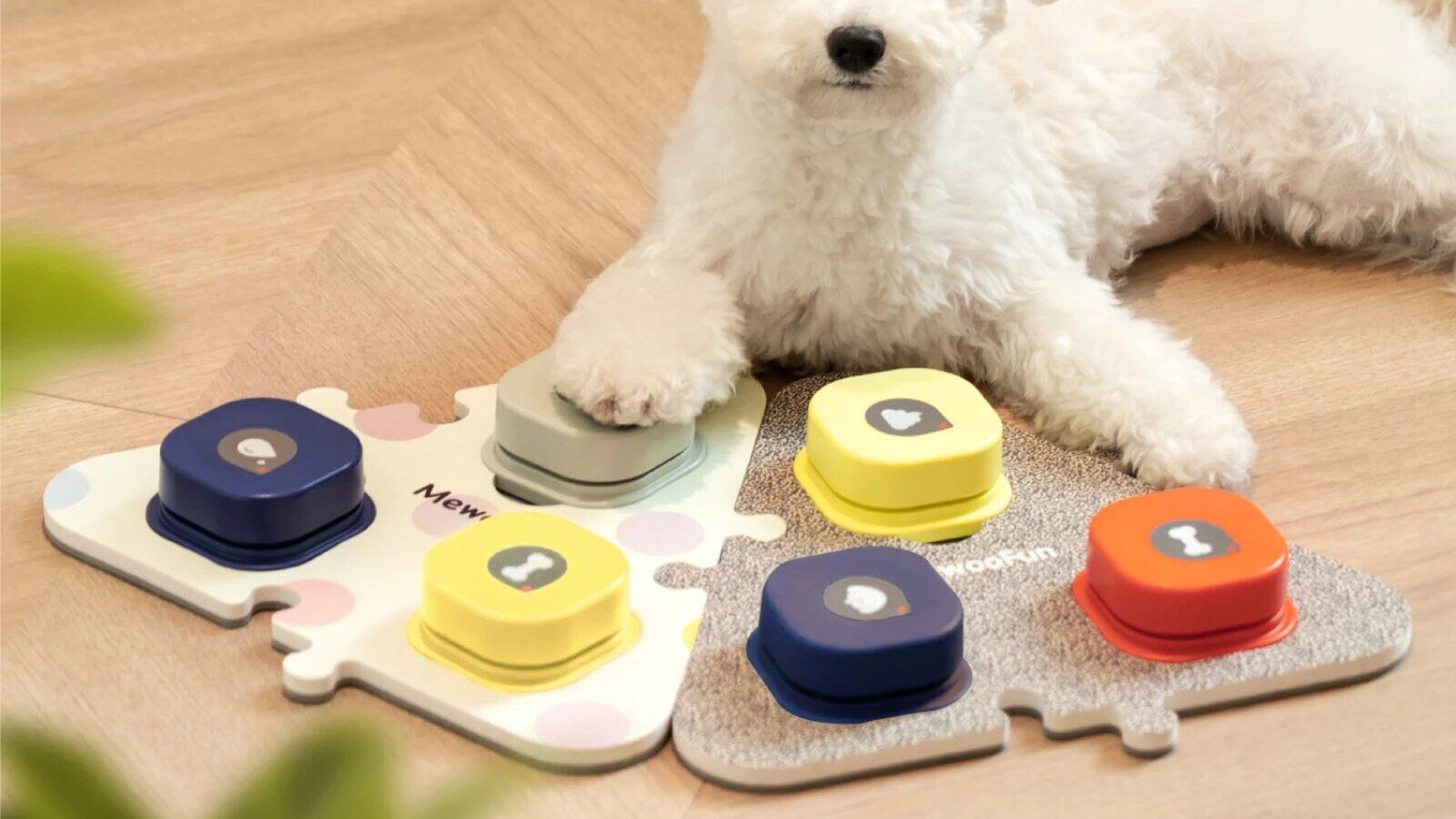 Interactive Pet Training Button