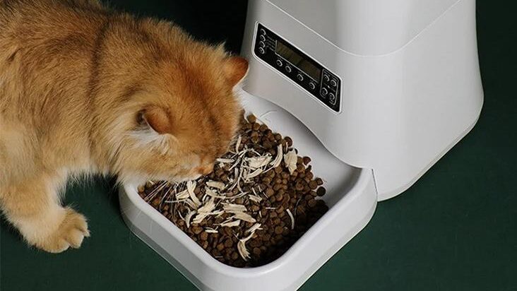 Pet Water Fountain