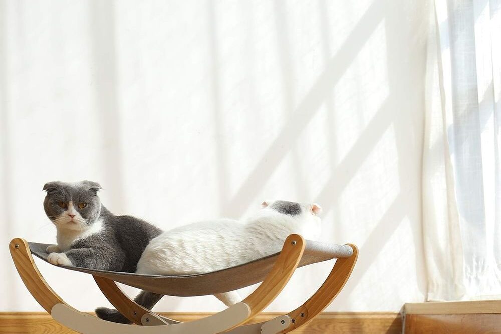 Wooden Cat Hammock