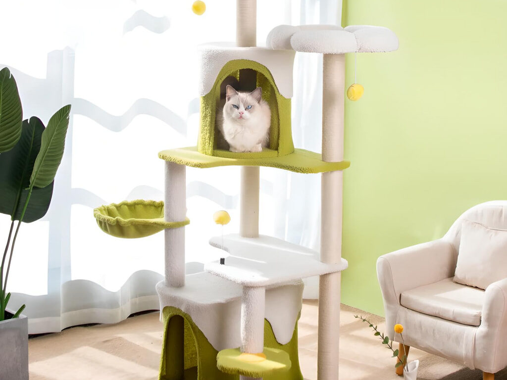 Cat Tree with Climbing Frame