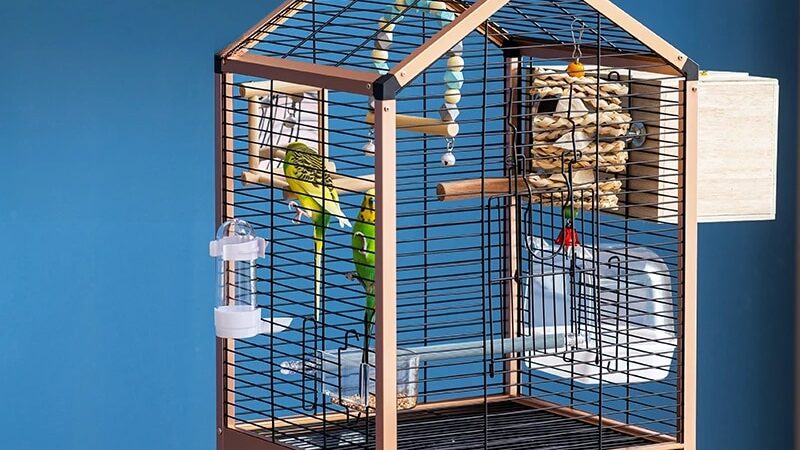 Portable Bird Cages for Budgies