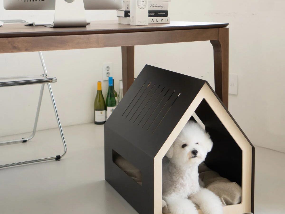 Modern Pet House