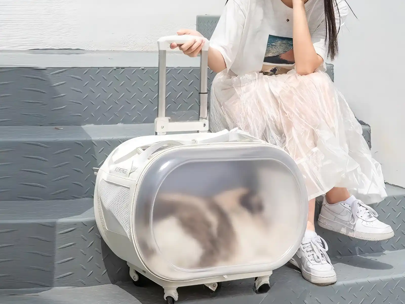 Portable Pet Trolley Case