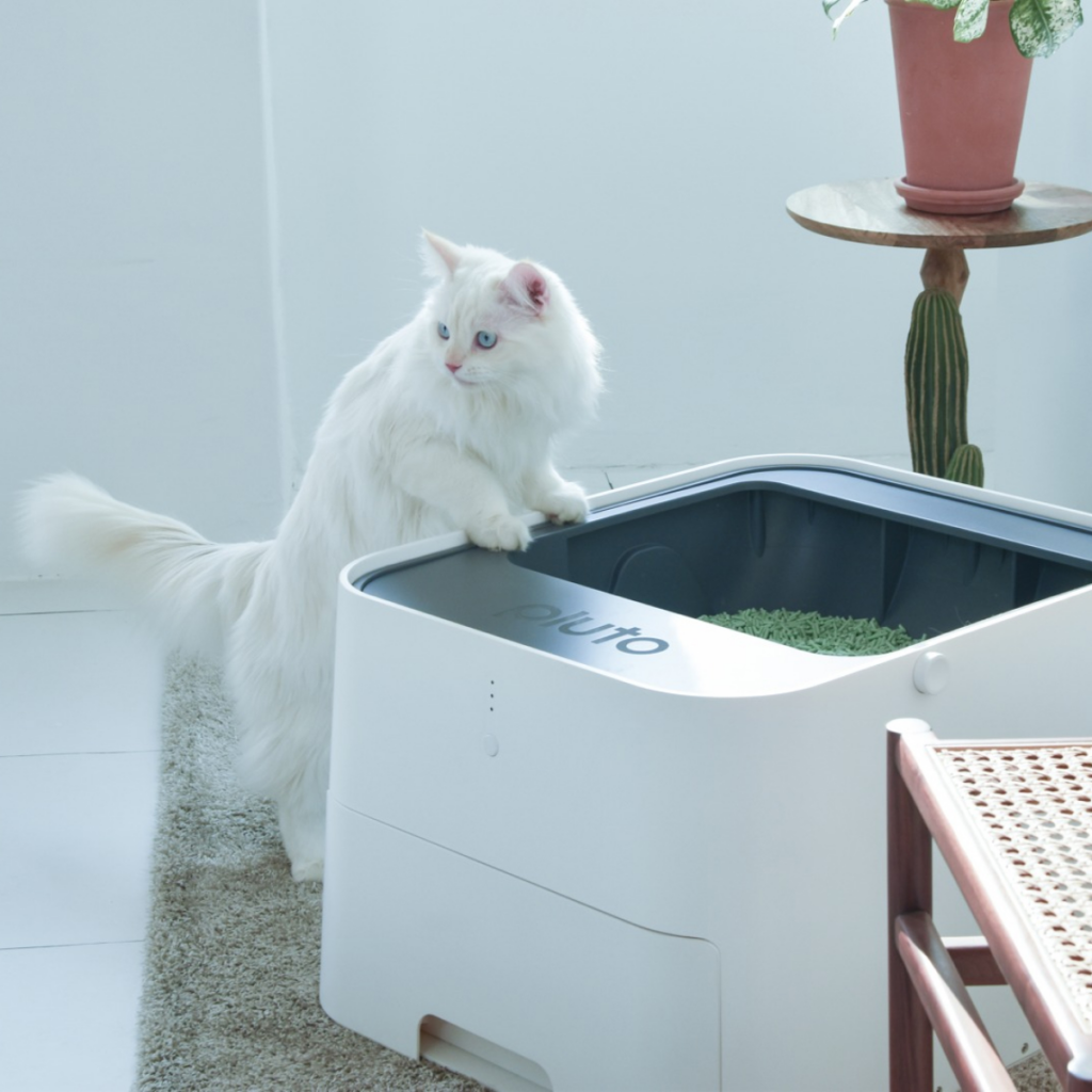 Smart Automatic Cat Litter Box with Odor Control